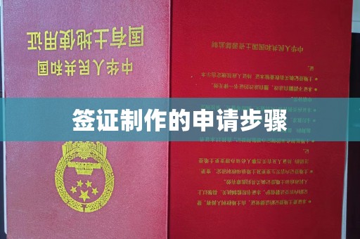 康平签证制作的申请步骤