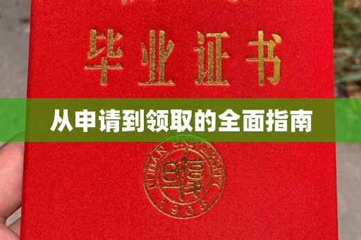 康平从申请到领取的全面指南