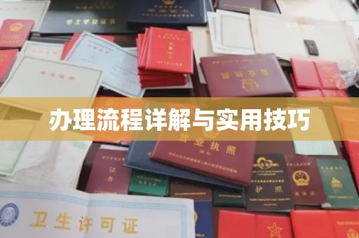 康平办理流程详解与实用技巧