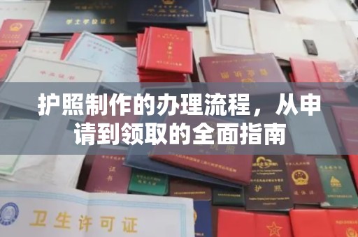 康平护照制作的办理流程，从申请到领取的全面指南
