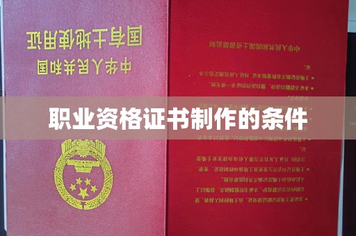 康平职业资格证书制作的条件