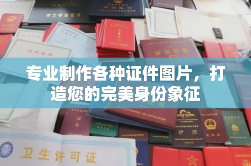 康平专业制作各种证件图片，打造您的完美身份象征