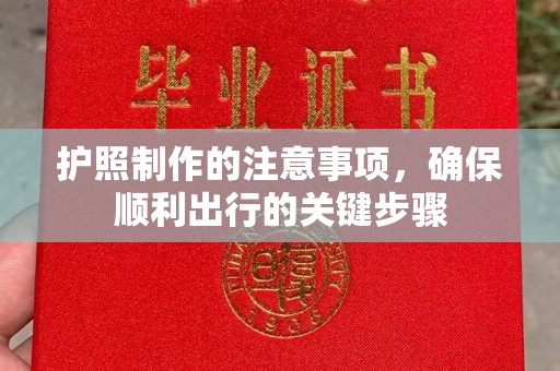 康平护照制作的注意事项，确保顺利出行的关键步骤
