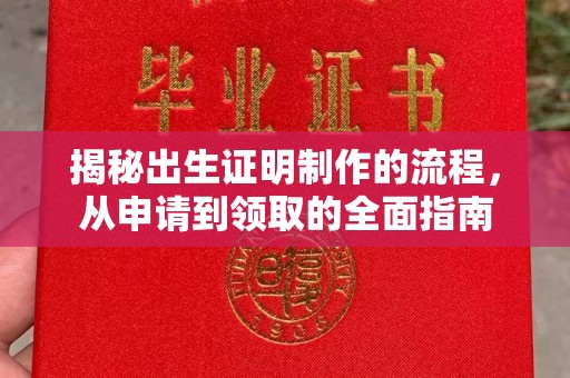 康平揭秘出生证明制作的流程，从申请到领取的全面指南
