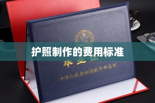 康平护照制作的费用标准