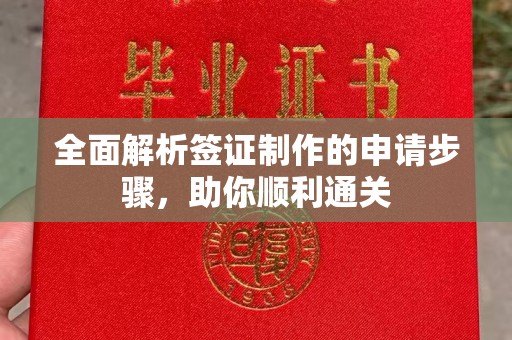 康平全面解析签证制作的申请步骤，助你顺利通关