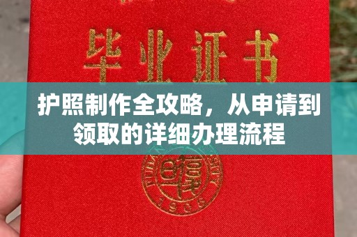 康平护照制作全攻略，从申请到领取的详细办理流程