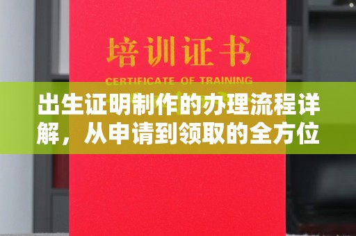 康平出生证明制作的办理流程详解，从申请到领取的全方位指南