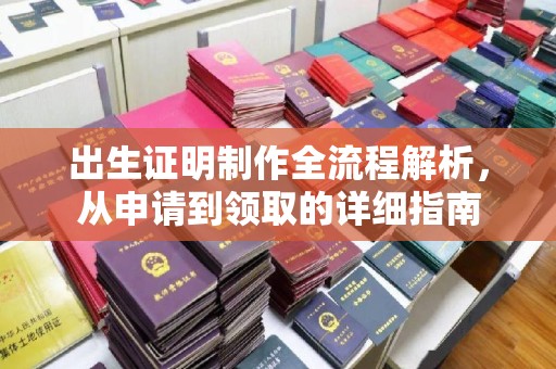 康平出生证明制作全流程解析，从申请到领取的详细指南
