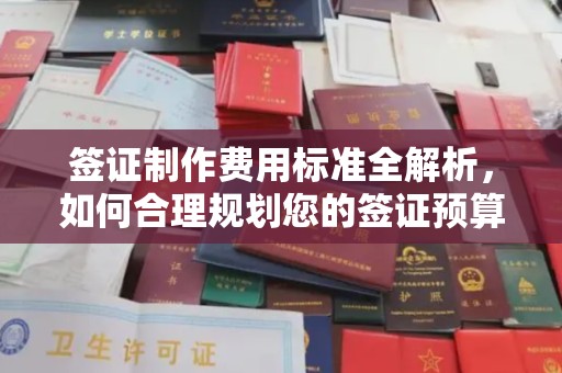 康平签证制作费用标准全解析，如何合理规划您的签证预算？